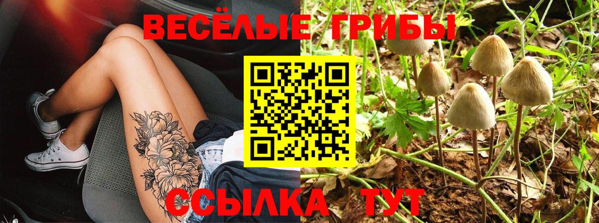 Галлюциногенные грибы GOLDEN TEACHER Чита