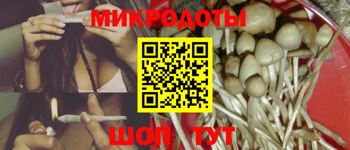 Чита  Галлюциногенные грибы Magic Shrooms  цены   Вход с VPN  Псилоцибиновые грибы Psilocybine cubensis 